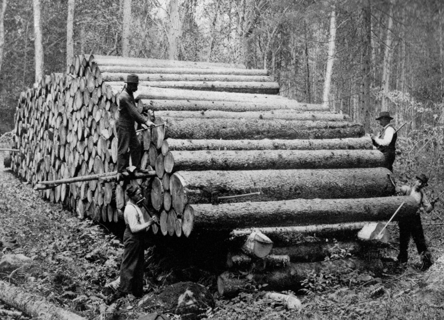 Uploaded Image: /uploads/Park Birthday blog/logging_report_Forest, Fish and Game Commission (1901).jpeg